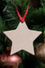 Nighttime Star | Leather Ornament