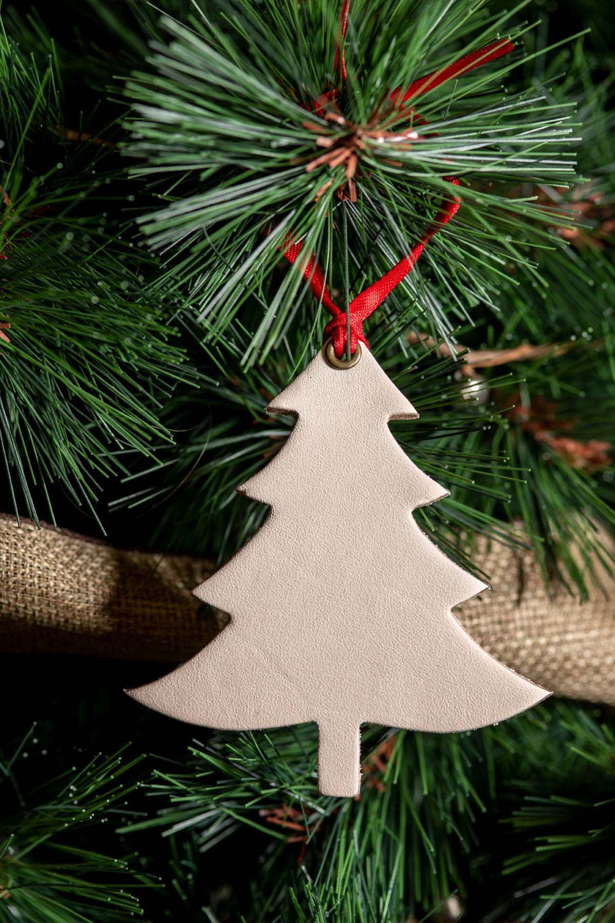 Balsam Fir | Leather Ornament