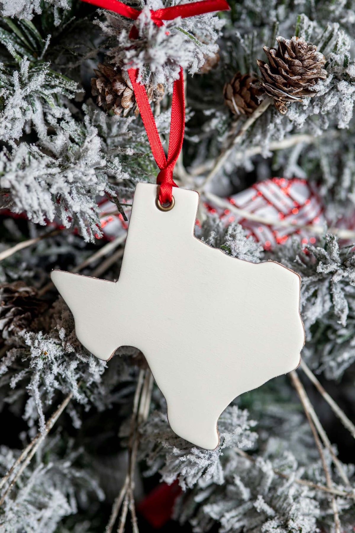 Texas | Leather Ornament