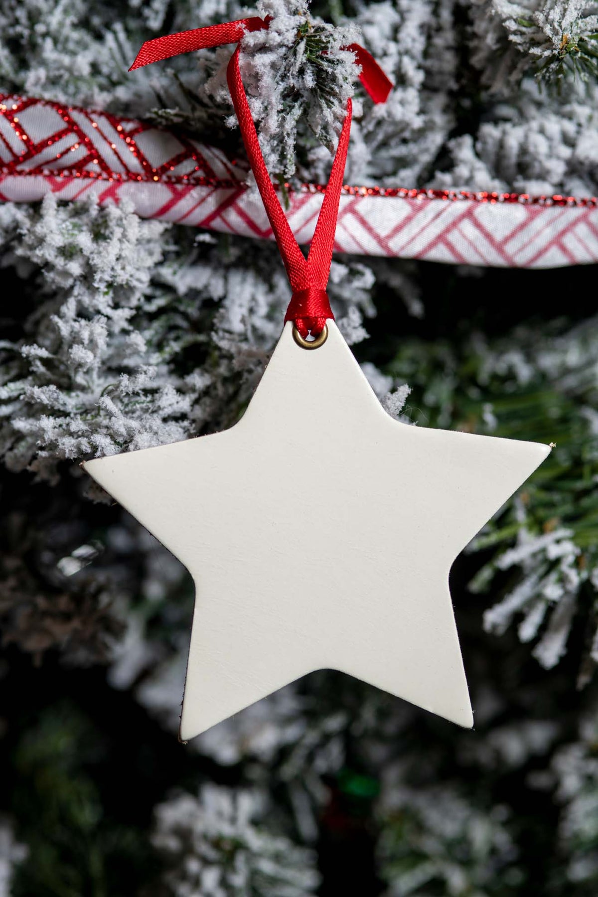 Nighttime Star | Leather Ornament